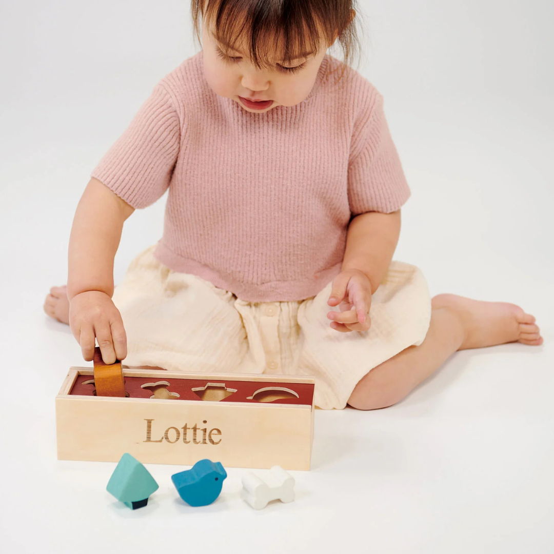 Personalised Engraved Wooden Pet Shape Sorting Box
