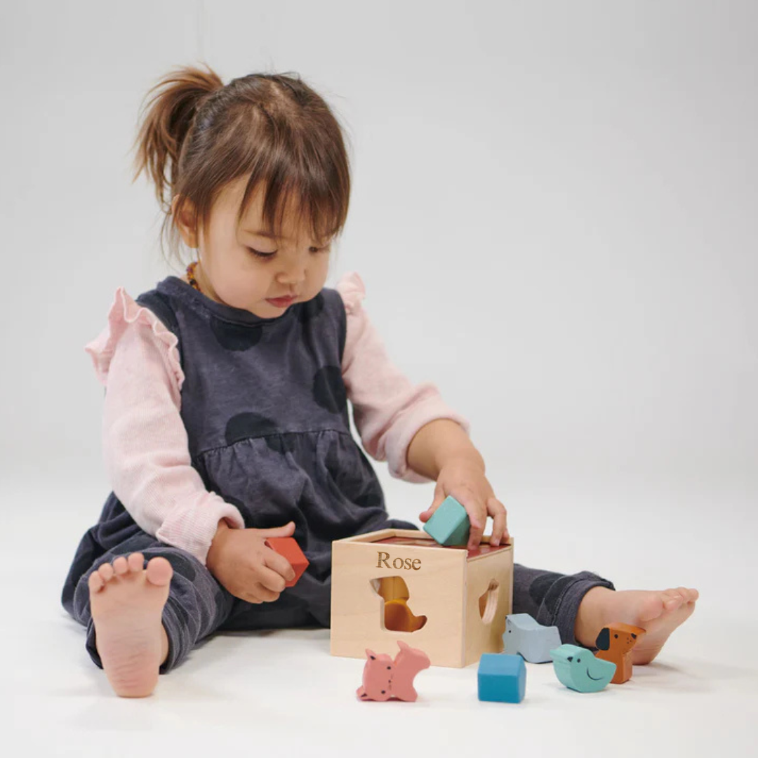 Personalised Engraved Wooden Shape Sorting Cube